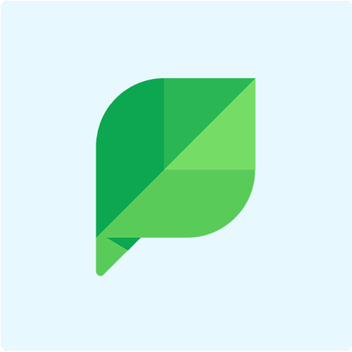 social network advertising